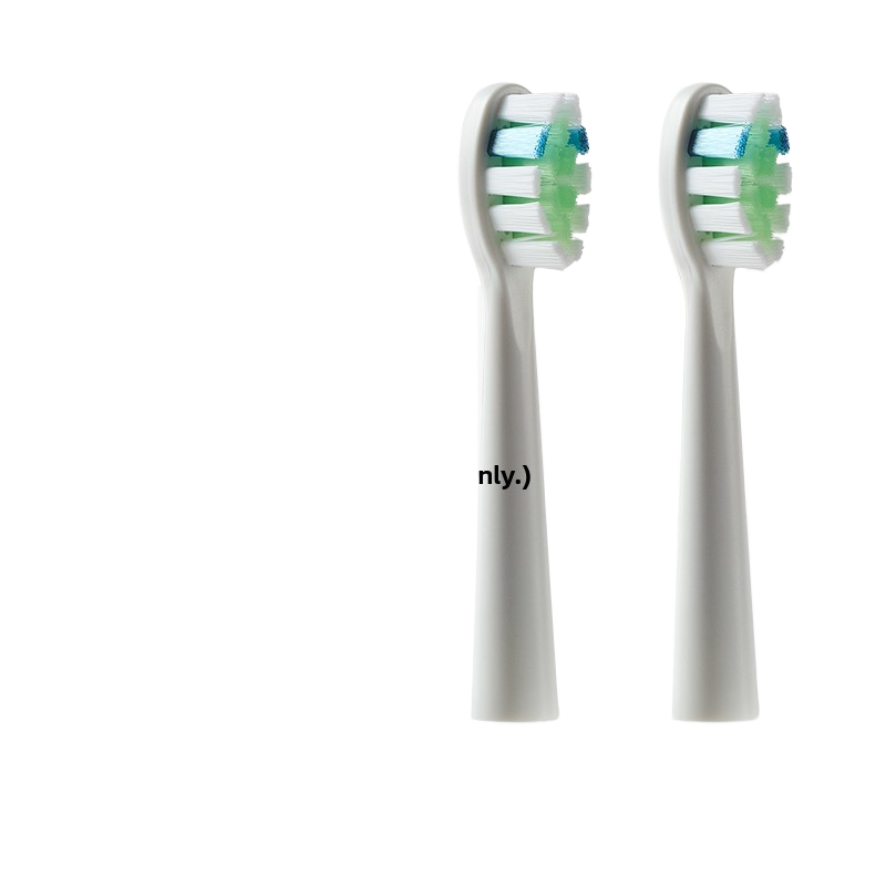 Electric Toothbrush