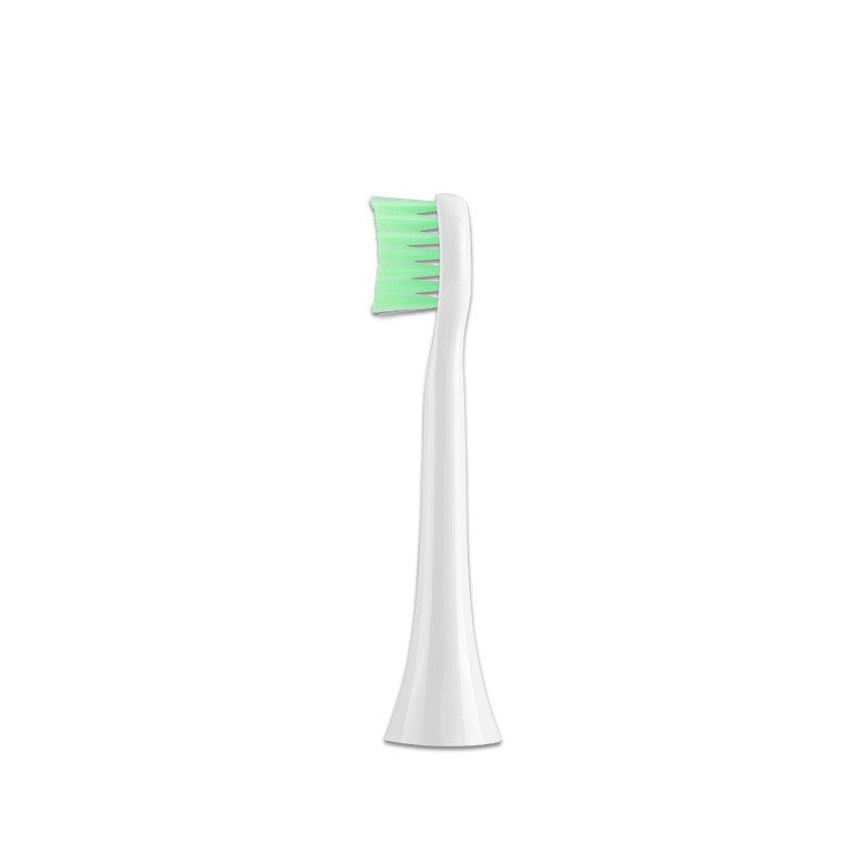 Electric Toothbrush