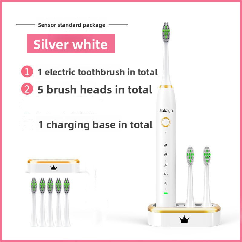 Electric Toothbrush