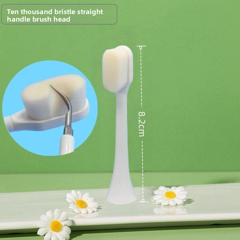 Electric Toothbrush