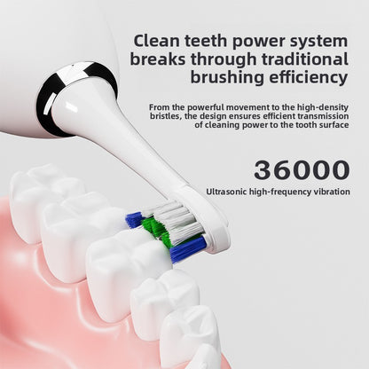 Electric Toothbrush