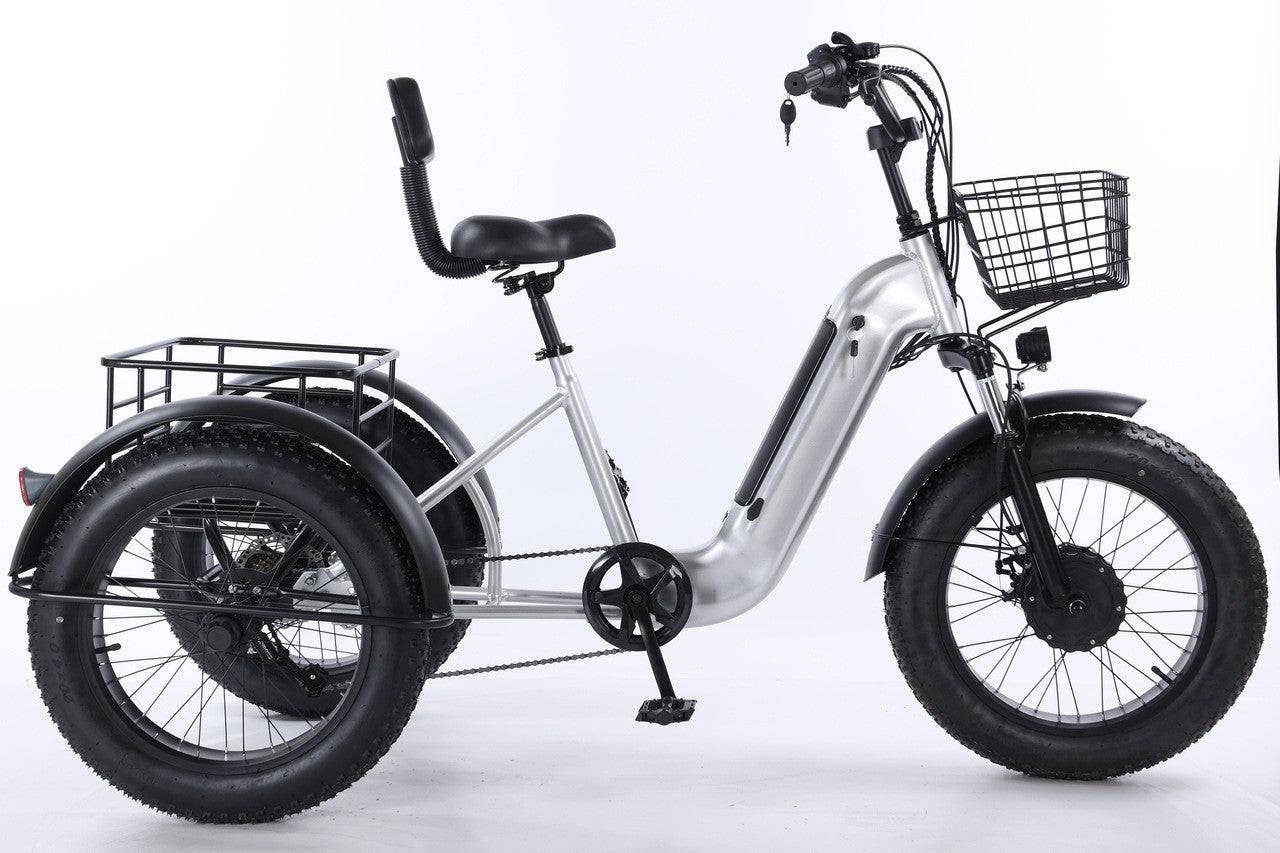 Electric Tricycle
