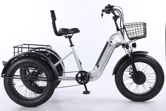 Electric Tricycle