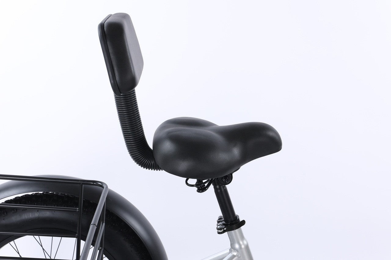 Electric Tricycle