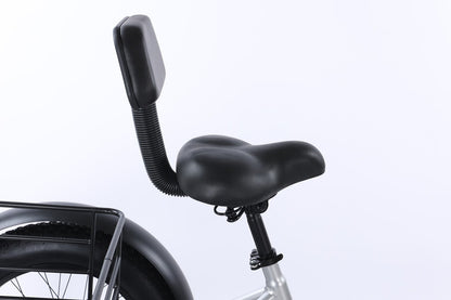 Electric Tricycle