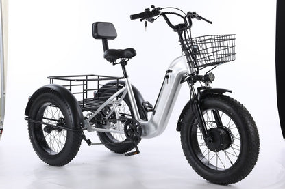 Electric Tricycle
