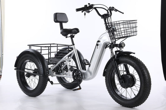 Electric Tricycle