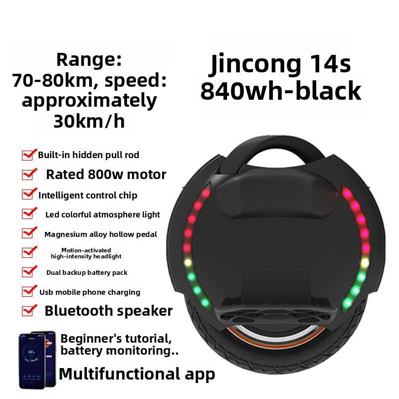 Electric unicycle