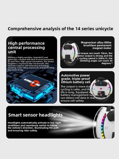 Electric unicycle