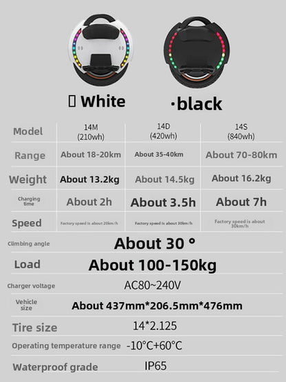 Electric unicycle