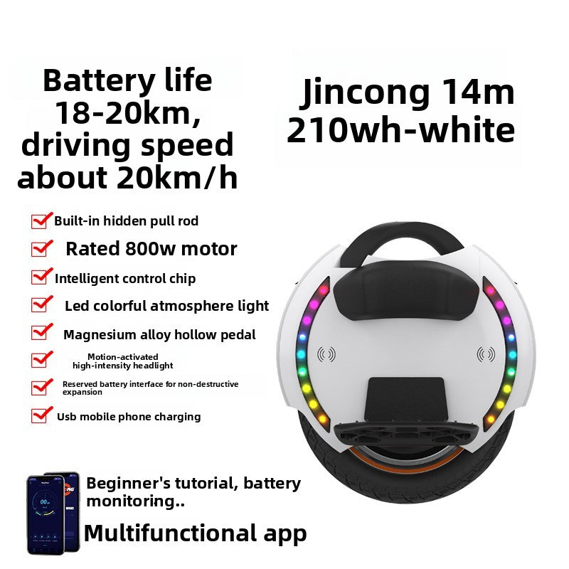 Electric unicycle