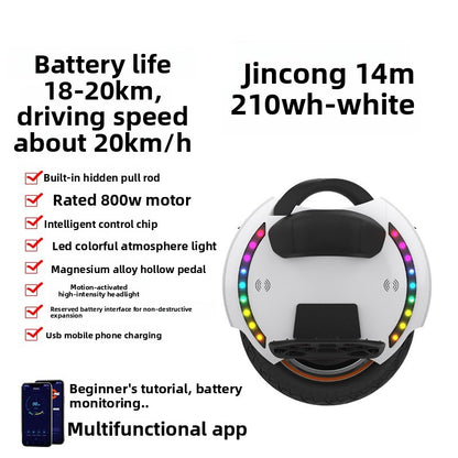 Electric unicycle