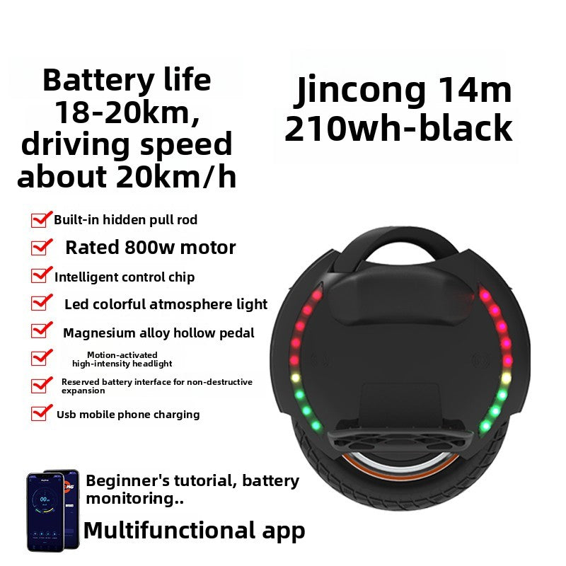 Electric unicycle