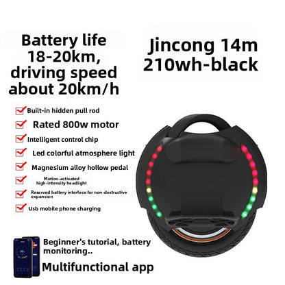 Electric unicycle