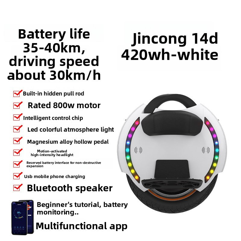 Electric unicycle