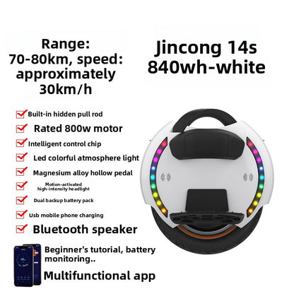 Electric unicycle