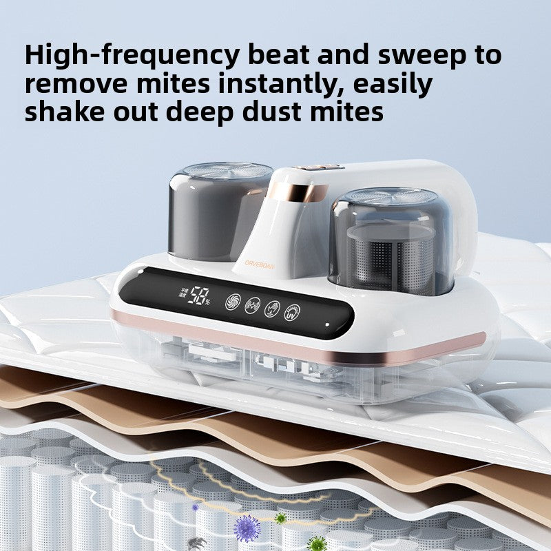 Electric vacuum cleaner