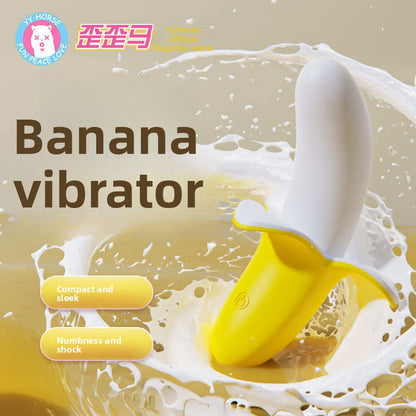 Electric Vibrator