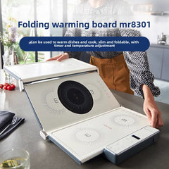 White Ver2 300W MR8301
