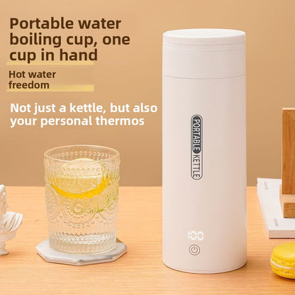 Electric Water Kettle