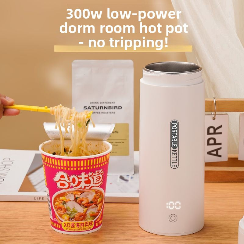 Electric Water Kettle