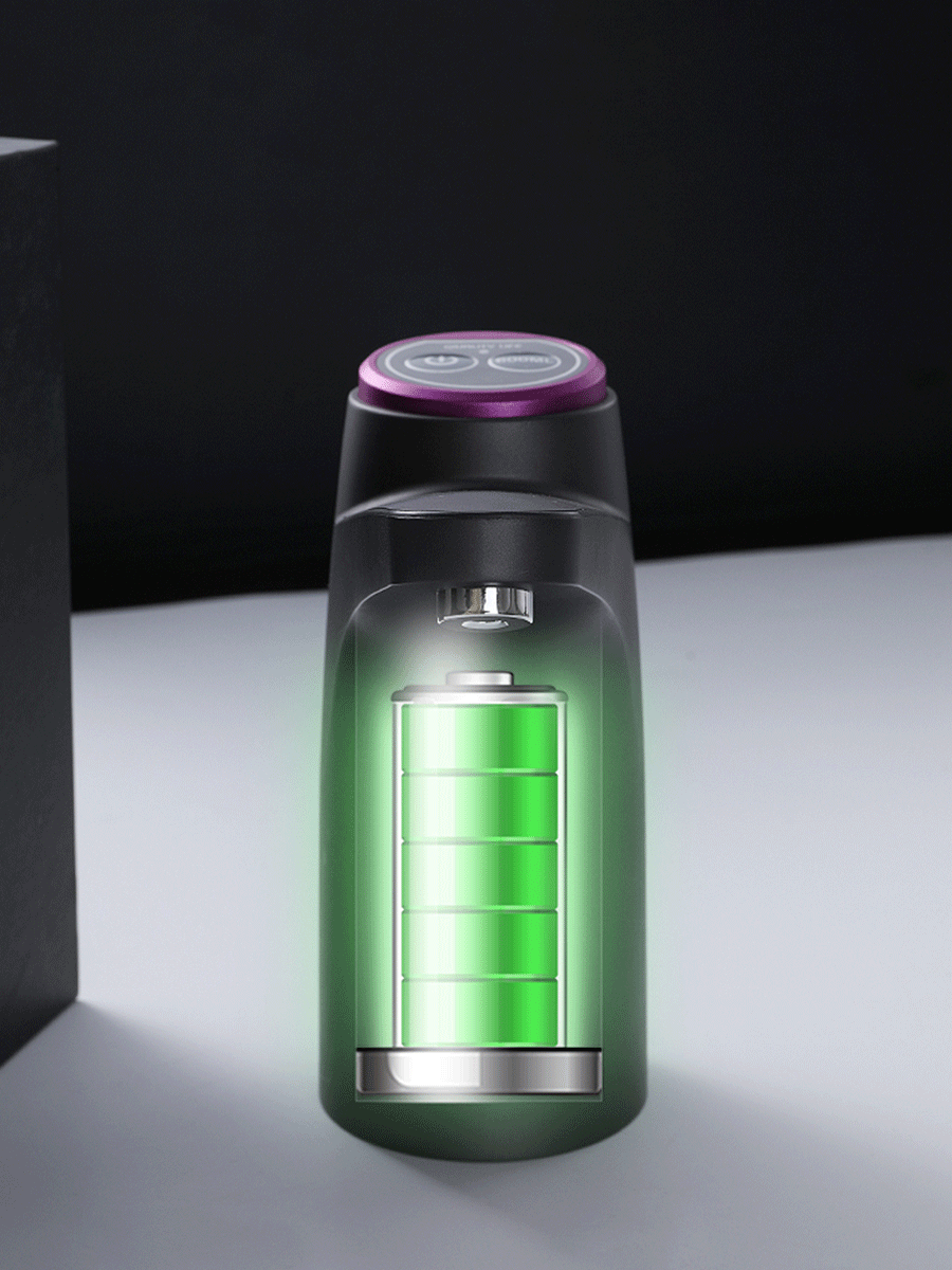 Electric water pump