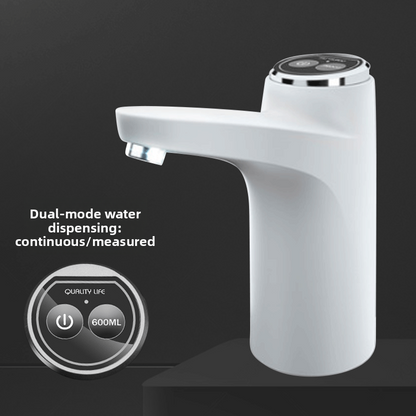 Electric water pump