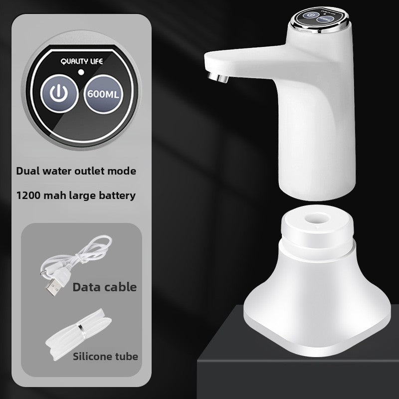 Electric water pump