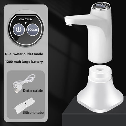 Electric water pump