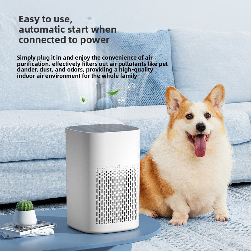 electronic air cleaner