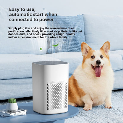 electronic air cleaner