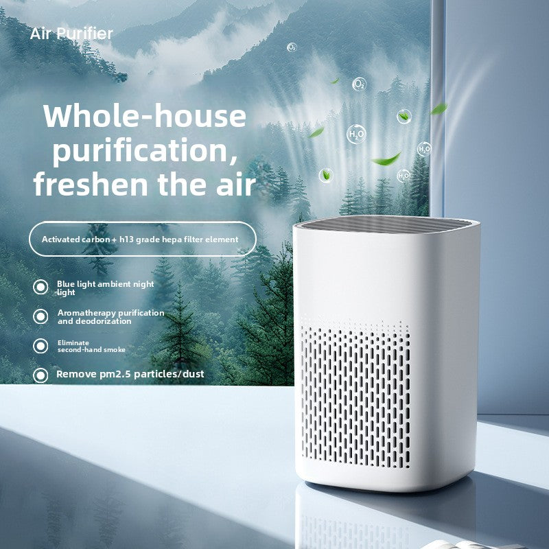 electronic air cleaner