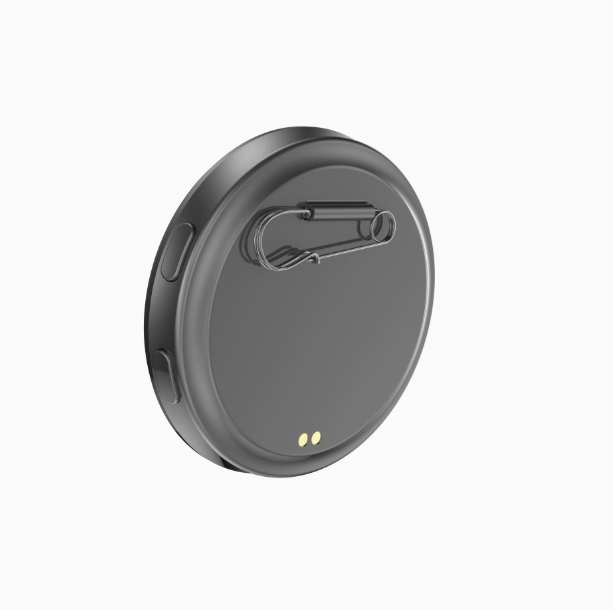 Electronic Badge