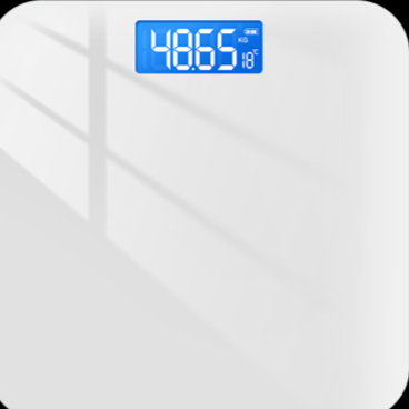 Electronic bathroom scale