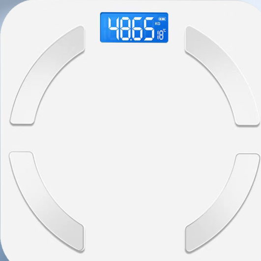 Electronic bathroom scale