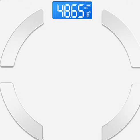 Electronic bathroom scale
