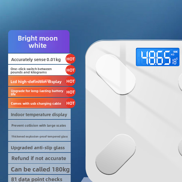 Electronic bathroom scale