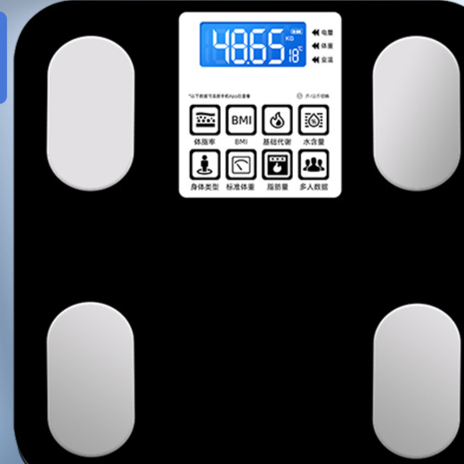 Electronic bathroom scale