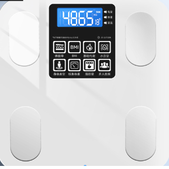 Electronic bathroom scale