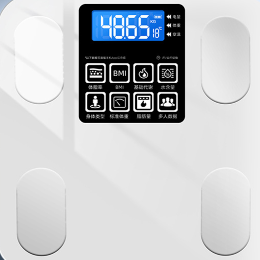 Electronic bathroom scale