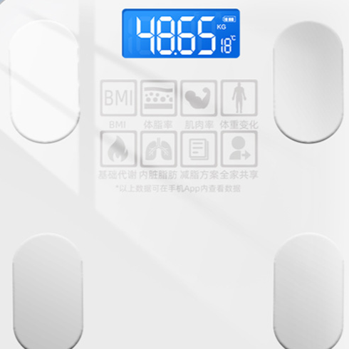 Electronic bathroom scale