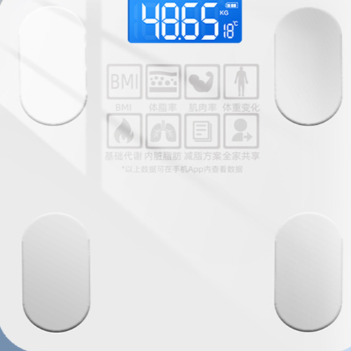 Electronic bathroom scale