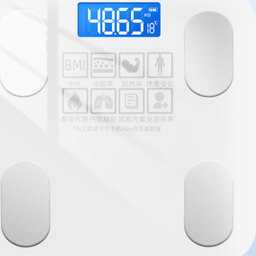 Electronic bathroom scale