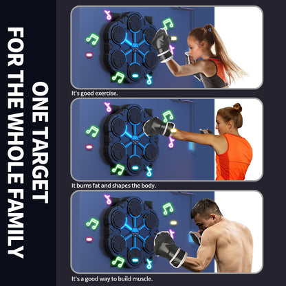 Electronic Boxing Target