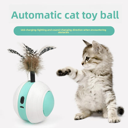 Electronic Cat Toy