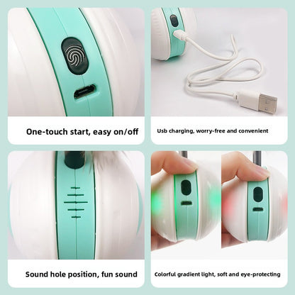 Electronic Cat Toy