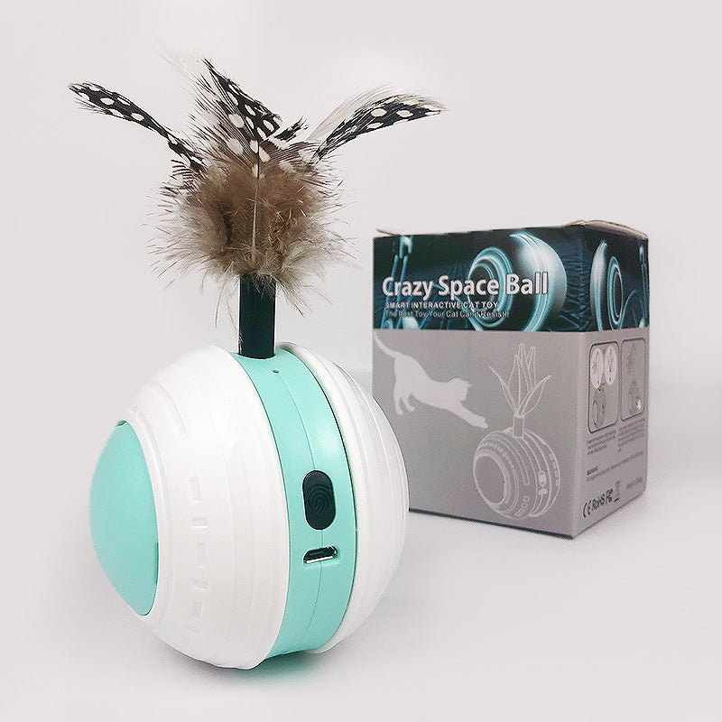 Electronic Cat Toy