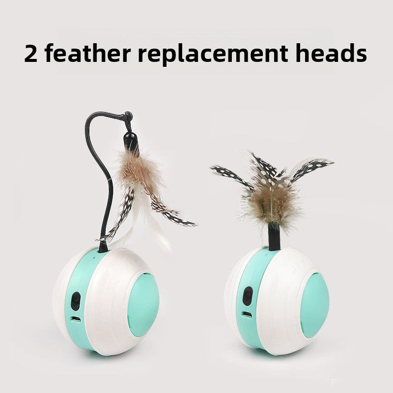 Electronic Cat Toy
