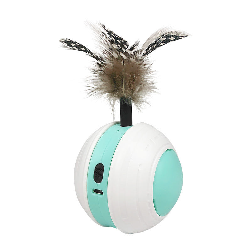 Electronic Cat Toy