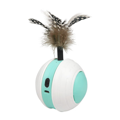 Electronic Cat Toy